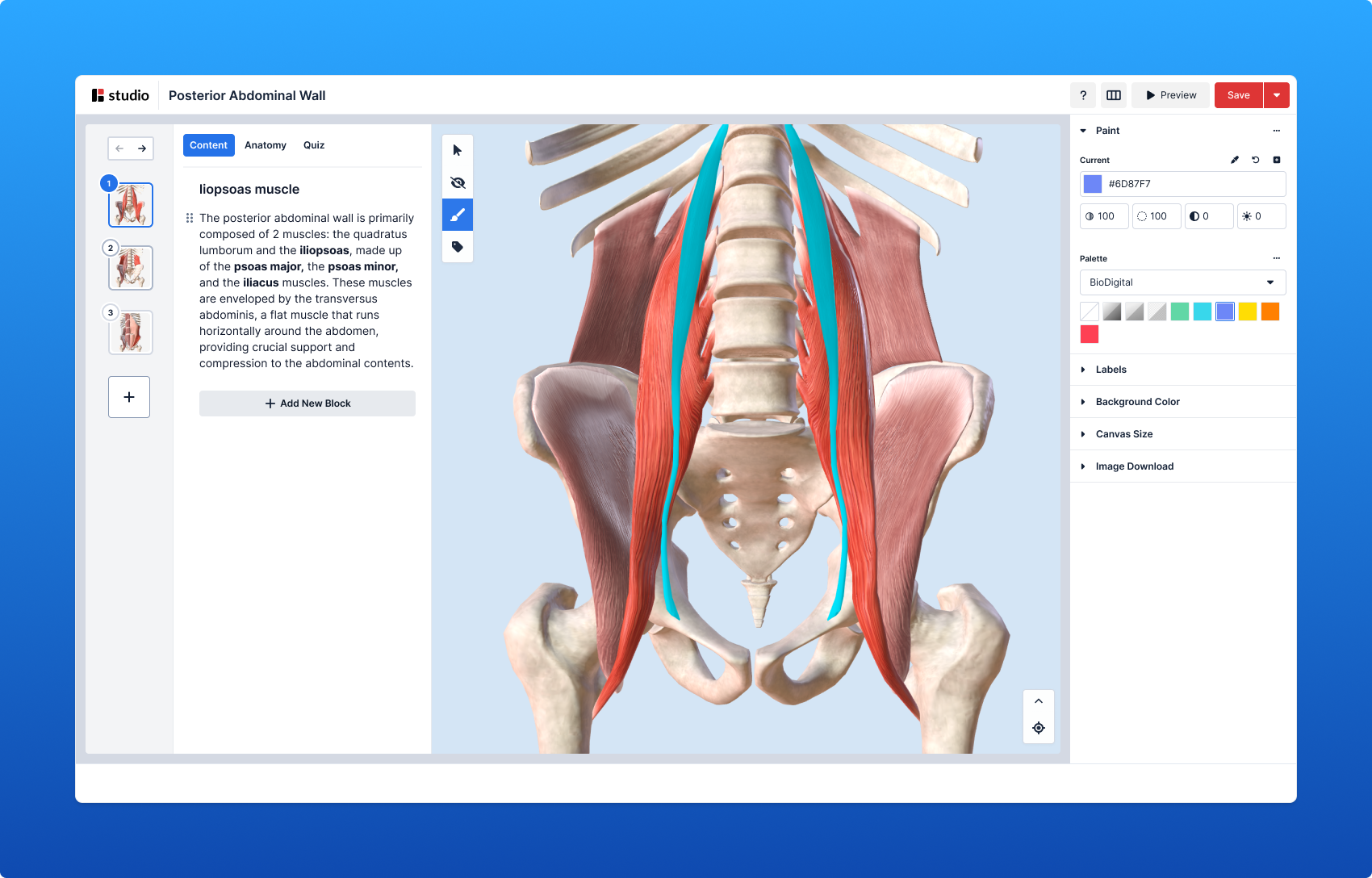 Screenshot of BioDigital Human Studio, a no-code 3D anatomy customization tool for medical device sales training, clinician-patient education, and health communication. Interface shows labeled posterior abdominal wall with options to edit labels, colors, and canvas. title=