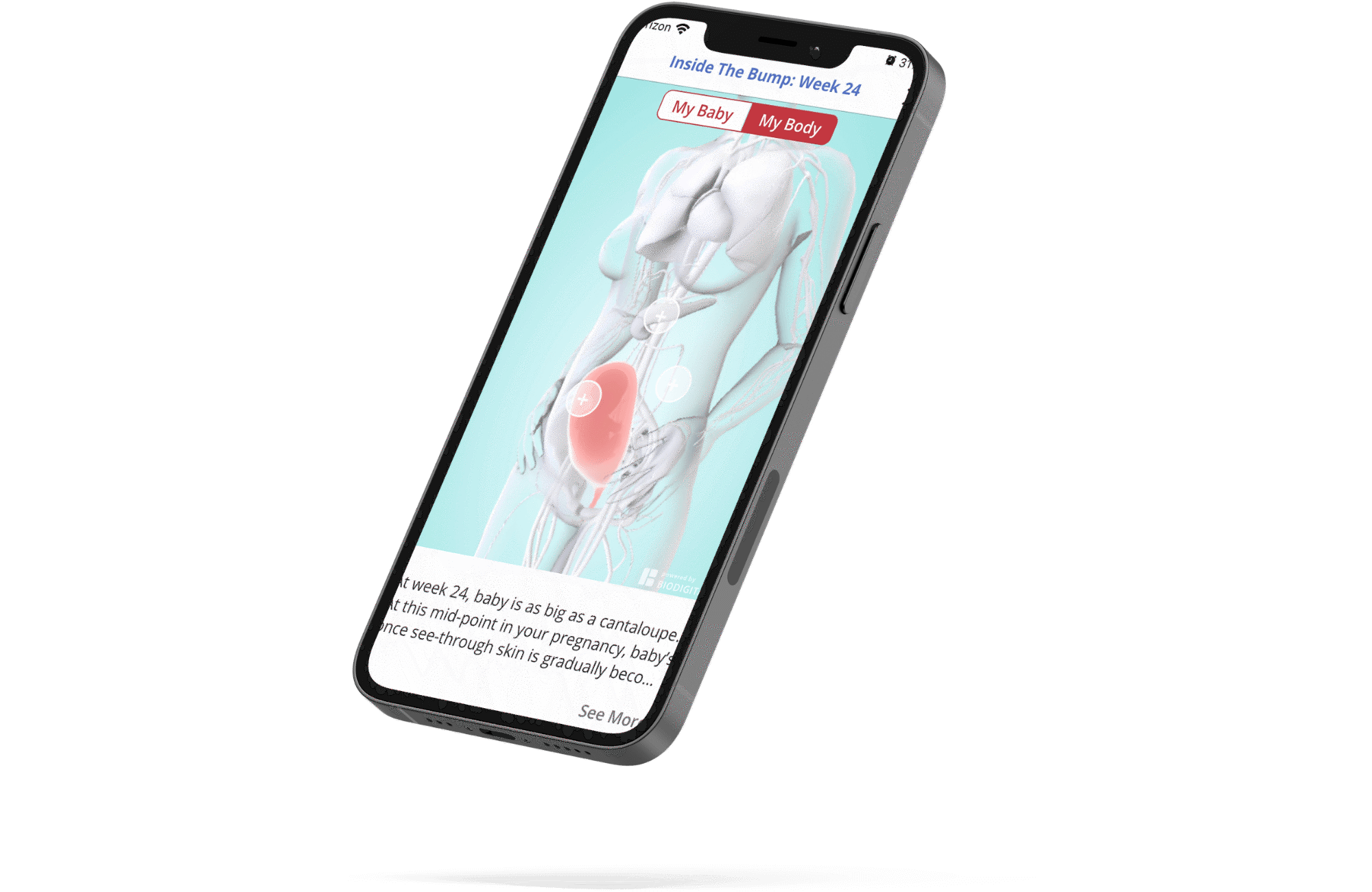 The Bump uses the BioDigital Human to allow users to see inside the human body along every stage of pregnancy. title=